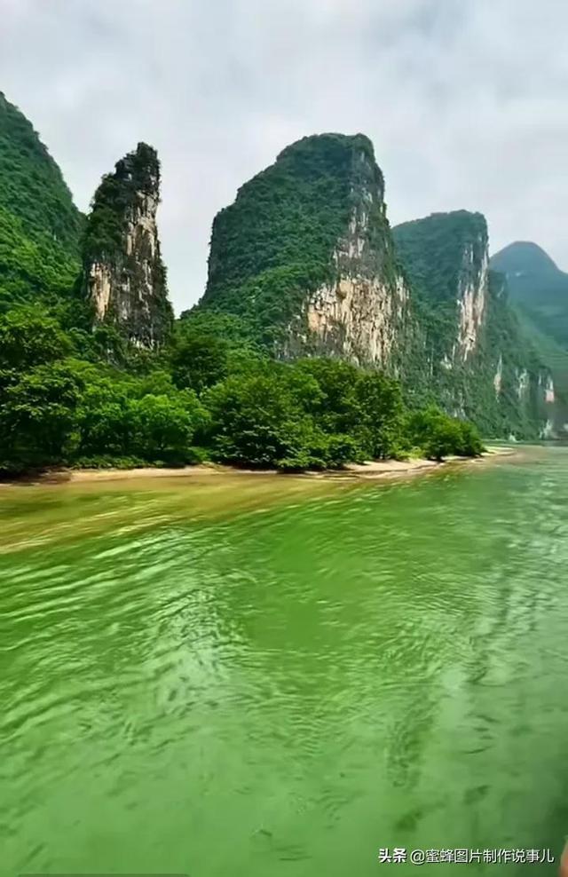探索奇妙世界,来小麦粉和面粉做馒头哪个好吃?寻找答案!