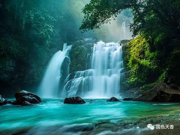 春雨直播app